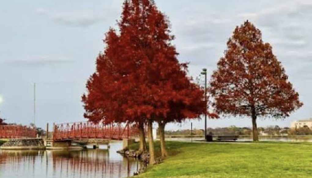 Blooming Grove, Texas